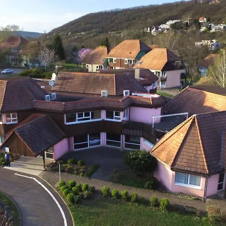 Plaine D'alsace 2p3p+1 Baby Üdülőközpont Obernai