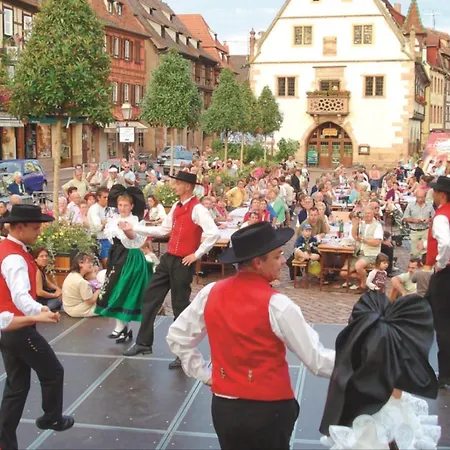 Üdülőközpont Plaine D'alsace 2p3p+1 Baby *