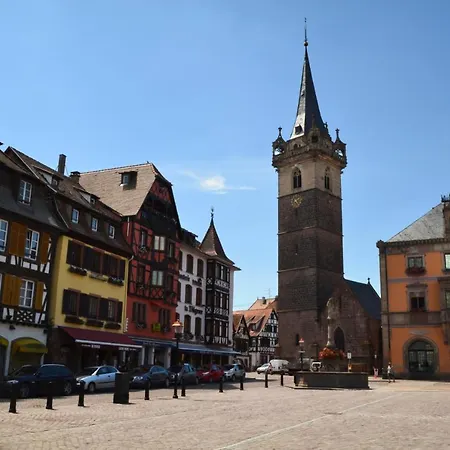 Plaine D'alsace 2p3p+1 Baby Üdülőközpont Obernai